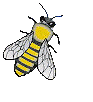 Gif Abeille