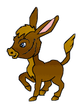Gif Ane 3