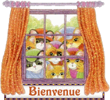 Gif Bienvenue Chats Derriere Fenêtre