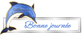 Gif Bonne Journée Dauphin