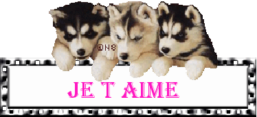 Gif Je t'aime Chiots Husky