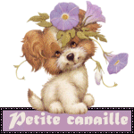 Gif Petite Canaille Chien