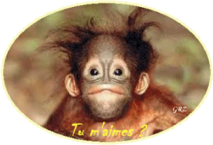 Gif Tu m'aimes Singe