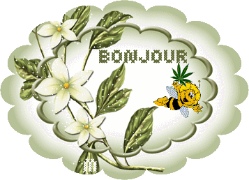 Lundi 6 février  Bonjour-maya-l-abeille