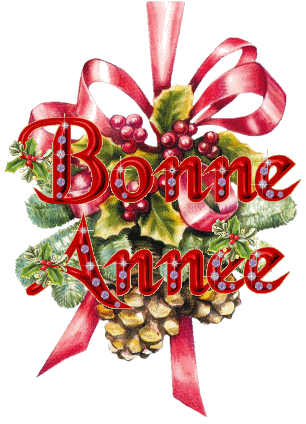 Gif Bonne Année 14