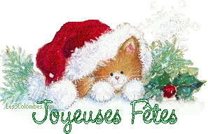 Gif Joyeuses Fêtes 004
