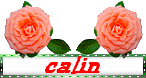 Gif Câlin 001