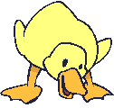 Gif Canard 2