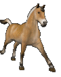 Gif Cheval Galop 3