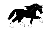 Gif Cheval