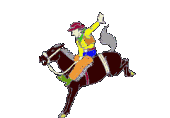 Gif Rodeo 3
