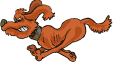 Chien Court Et Grogne