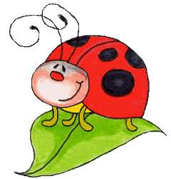 Gif Coccinelle 009