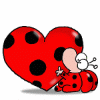 Gif Coccinelle 013