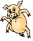 Gif Cochon Dansant
