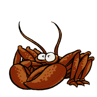 Gif Crabe 10