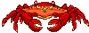Gif Crabe 4