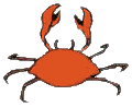 Gif Crabe