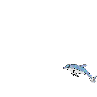 Gif Dauphin Saut
