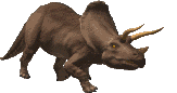 Gif Triceratops