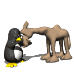 Gif Dromadaire Et Pingouin