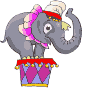 Gif Elephant Cirque 2