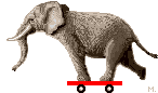 Gif Elephant Skateboard