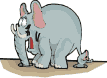 Gif Éléphant