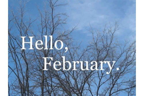 Gif Hello February