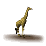 Gif Girafe 5