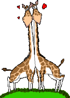 Gif Girafes Amoureuses Enlacees