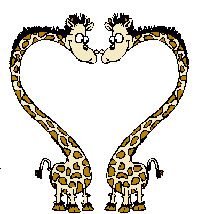Gif Girafes