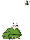 Gif Grenouille qui attrape insecte