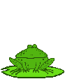 Gif Grenouille Sautille