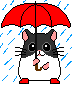 Gif Hamster Parapluie