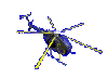 Gif Helicoptere 016