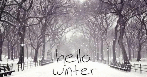Gif Hello Winter