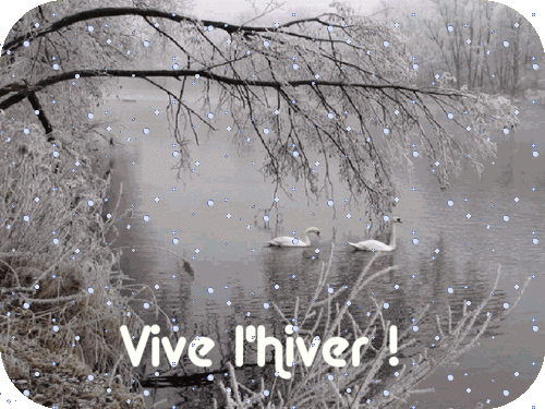 Gif Vive L Hiver 4