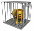 Gif Lion En Cage