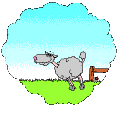 Gif Compter Les Moutons 3