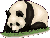 Gif Panda 7