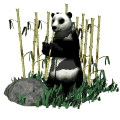 Gif Panda Mange Du Bambou