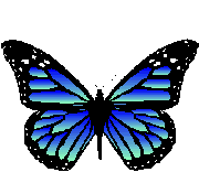 Gif Papillon Bleu 2