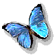 Gif Papillon Bleu 4