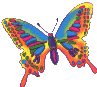 Gif Papillon Multicolore