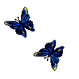Gif Papillons Bleus