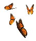 Gif Papillons Oranges