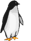 Gif Pingouin 3