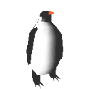 Gif Pingouin Marche