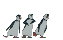 Gif Trio Pingouins